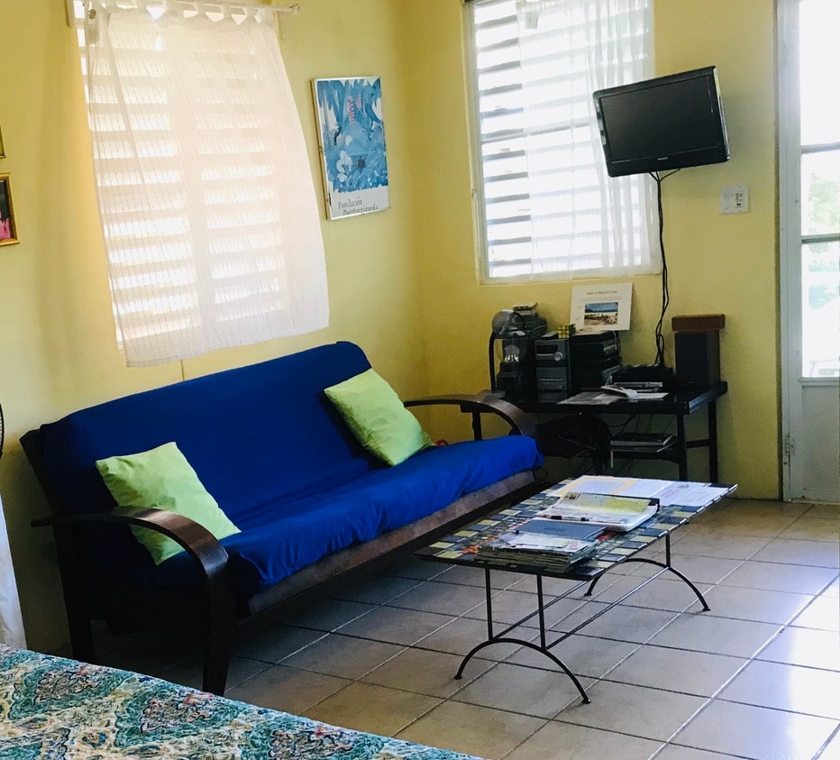 Pitirre living room with blue futon and Roku TV
