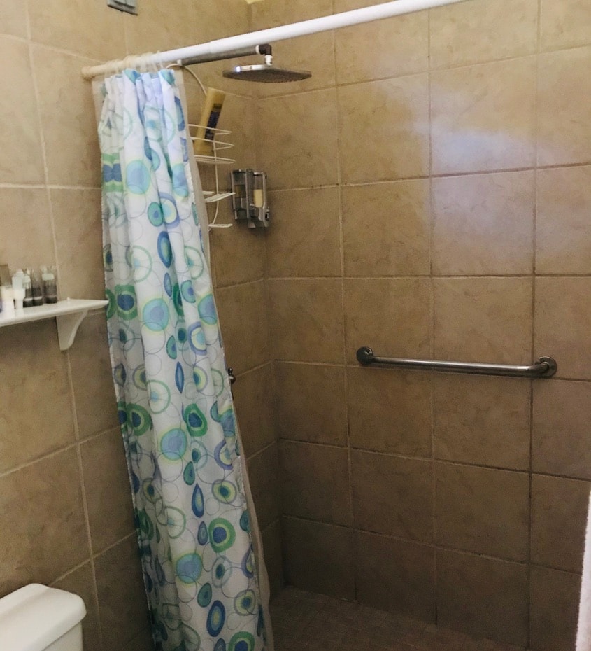 Pitirre shower with rain showerhead